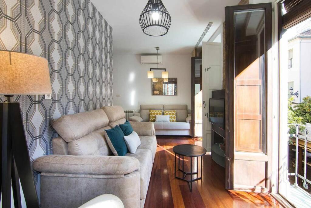 Eco Center Granatensis Catedral 2 Habitaciones Free Parking غرناطة المظهر الخارجي الصورة